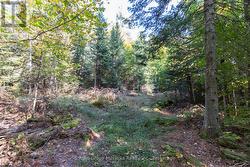 Trails throughout the property -