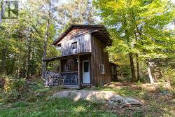 Cozy Hunt camp cabin. -