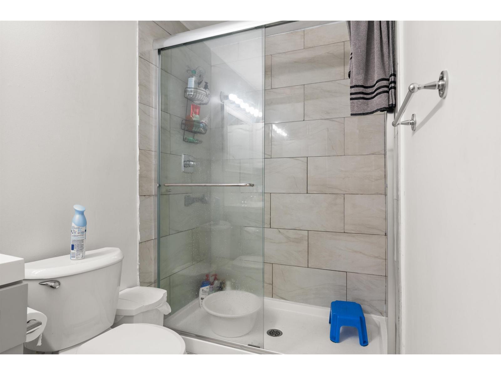 11186 Farms Road, Mission, BC - Indoor Photo Showing Bathroom