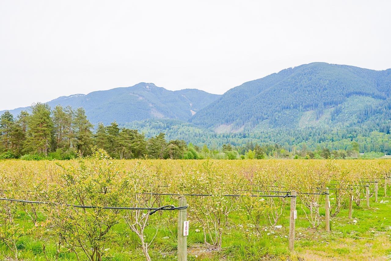 11186 Farms Road, Mission, BC - Outdoor With View