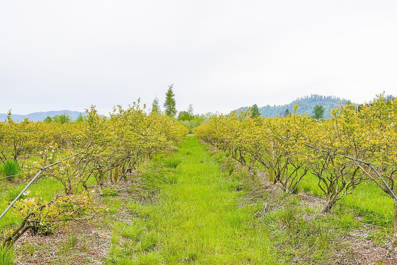 11186 Farms Road, Mission, BC - Outdoor With View