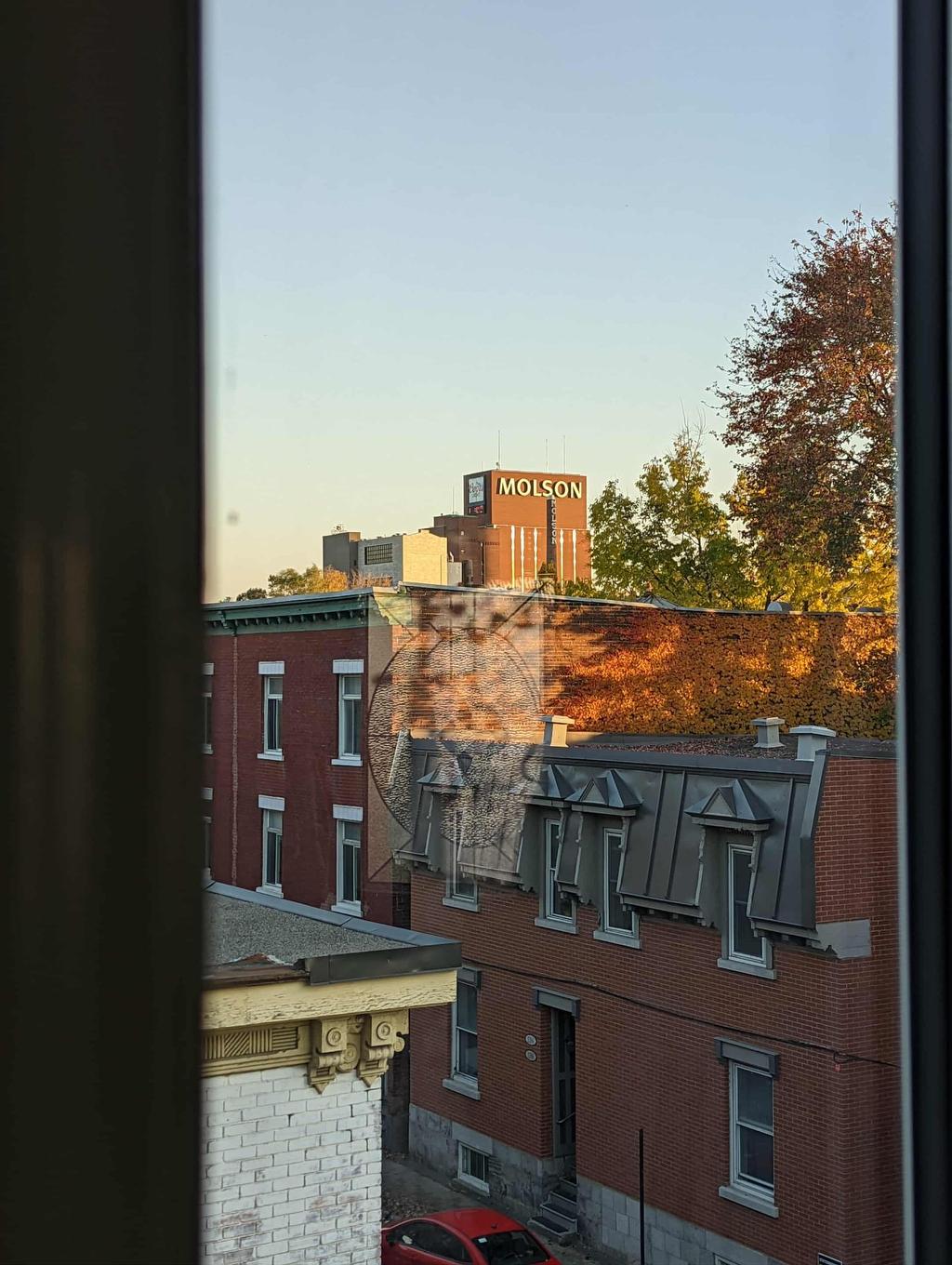 Vue - 1199 Rue Dorion, Montréal (Ville-Marie), QC - Outdoor