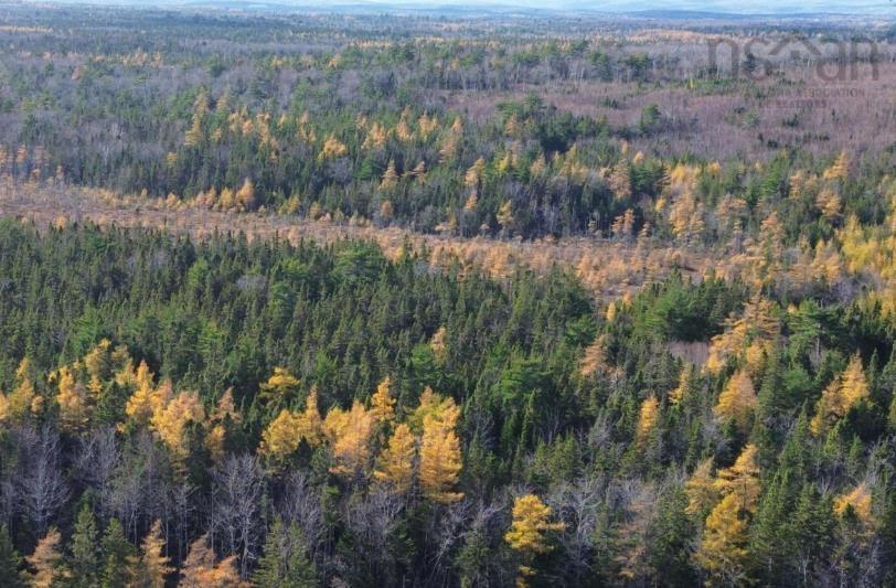 Lot Gabarus Highway, Dutch Brook, NS