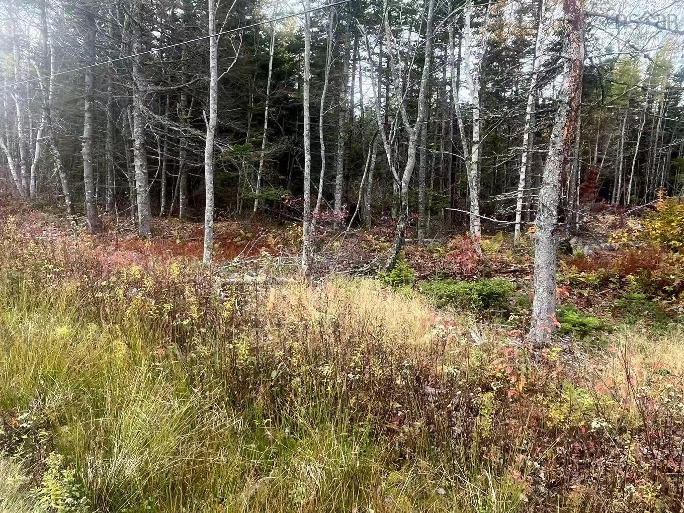 Lot Gabarus Highway, Dutch Brook, NS