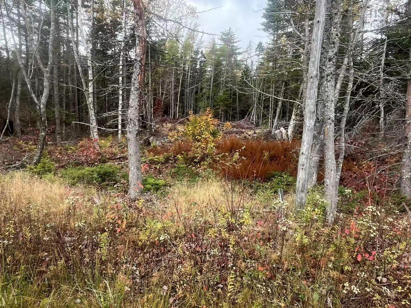 Lot Gabarus Highway, Dutch Brook, NS