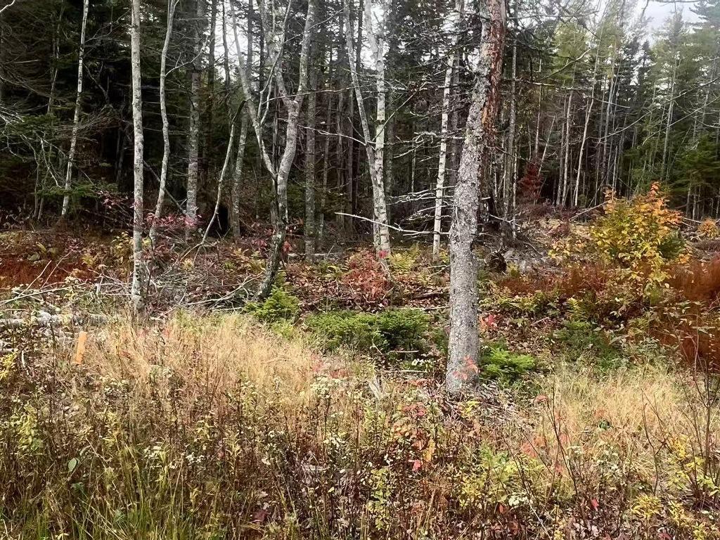Lot Gabarus Highway, Dutch Brook, NS