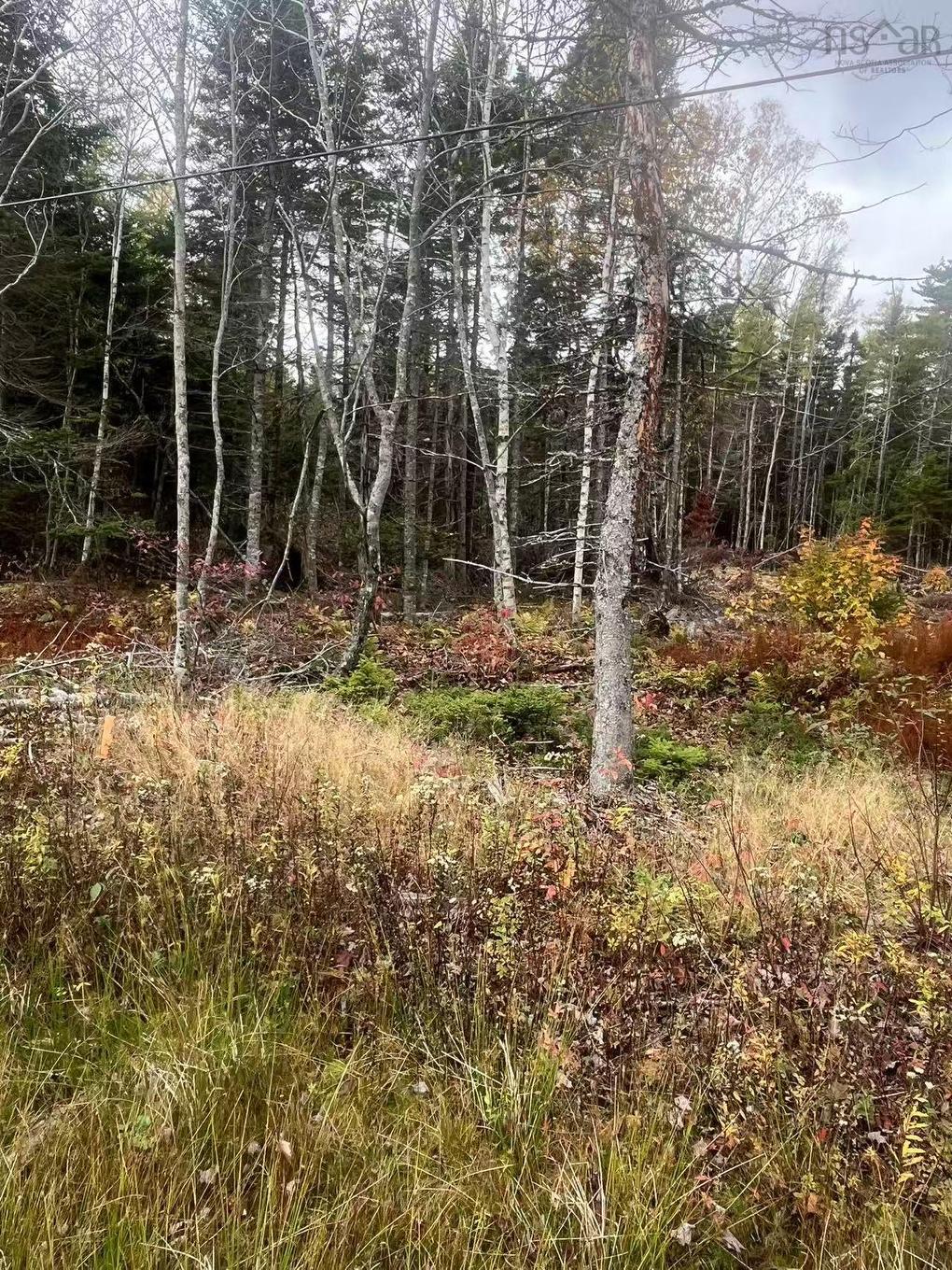 Lot Gabarus Highway, Dutch Brook, NS