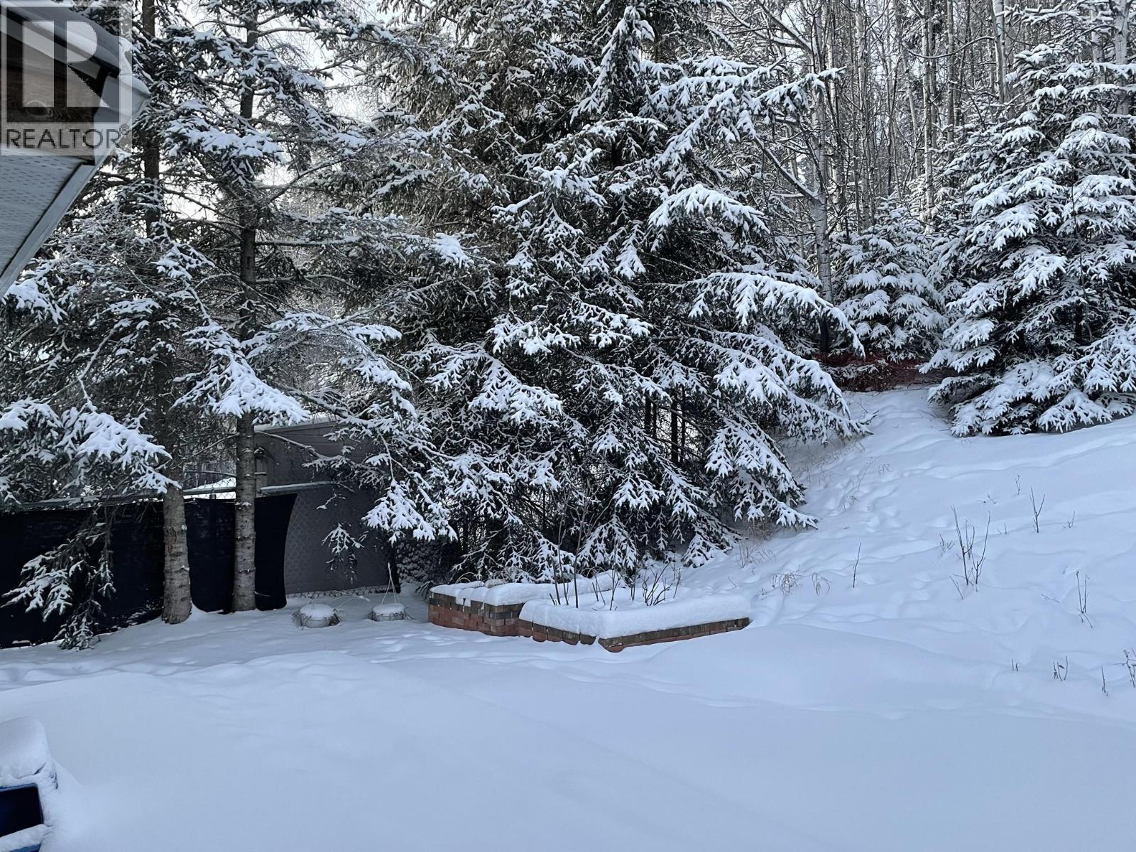 5735 Gairdner Crescent, Fort Nelson, BC - Outdoor