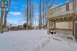 Patio and Entrance -