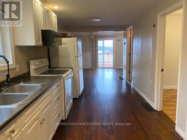 385 Blairton Road, Havelock-Belmont-Methuen (Belmont-Methuen), ON - Indoor Photo Showing Kitchen With Double Sink