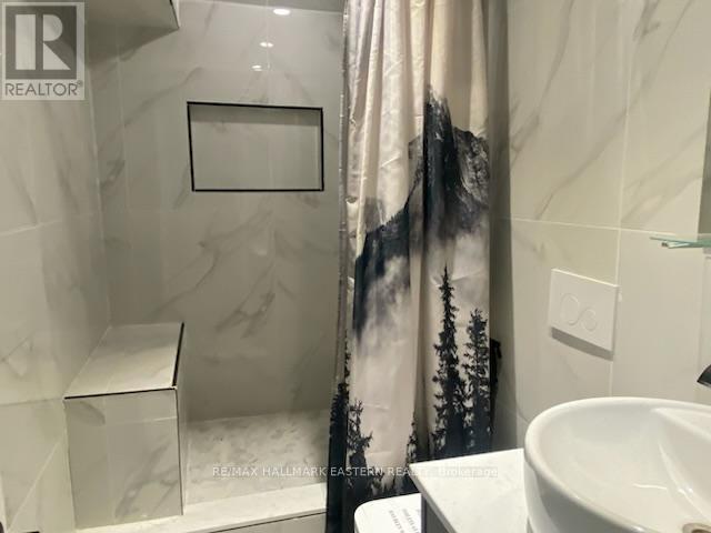 385 Blairton Road, Havelock-Belmont-Methuen (Belmont-Methuen), ON - Indoor Photo Showing Bathroom