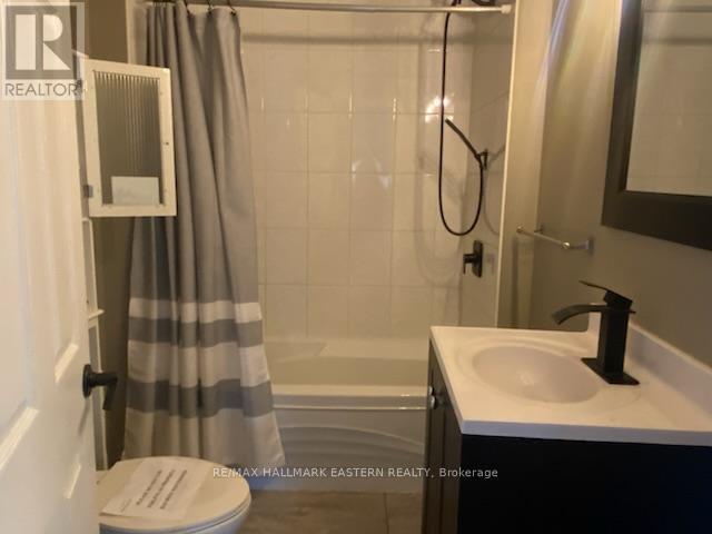 385 Blairton Road, Havelock-Belmont-Methuen (Belmont-Methuen), ON - Indoor Photo Showing Bathroom