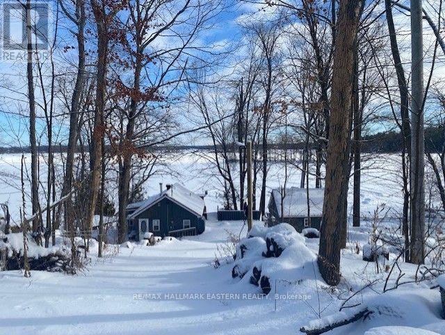 385 Blairton Road, Havelock-Belmont-Methuen (Belmont-Methuen), ON - Outdoor