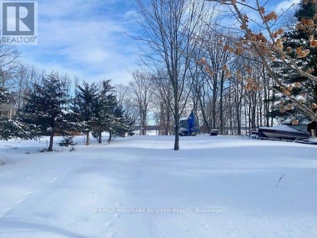 385 Blairton Road, Havelock-Belmont-Methuen (Belmont-Methuen), ON - Outdoor With View