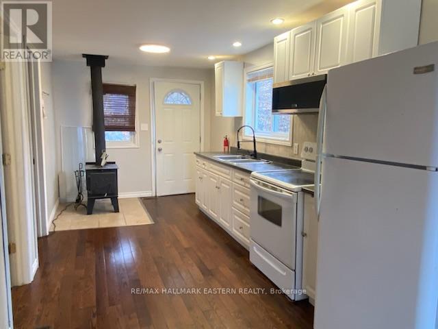 385 Blairton Road, Havelock-Belmont-Methuen (Belmont-Methuen), ON - Indoor Photo Showing Kitchen With Double Sink