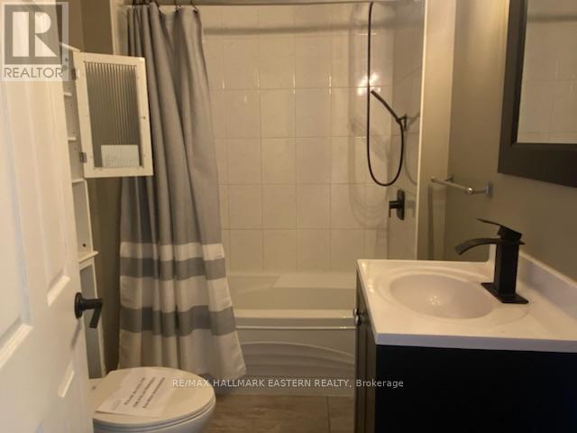 385 Blairton Road, Havelock-Belmont-Methuen (Belmont-Methuen), ON - Indoor Photo Showing Bathroom