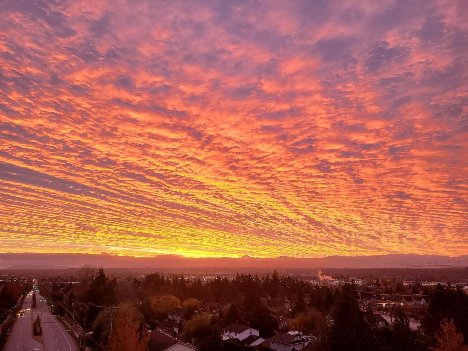 503 19228 64 Avenue, Surrey, BC - Outdoor With View