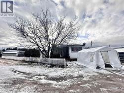 1085 3RD AVENUE Valemount, BC V0E 2Z0