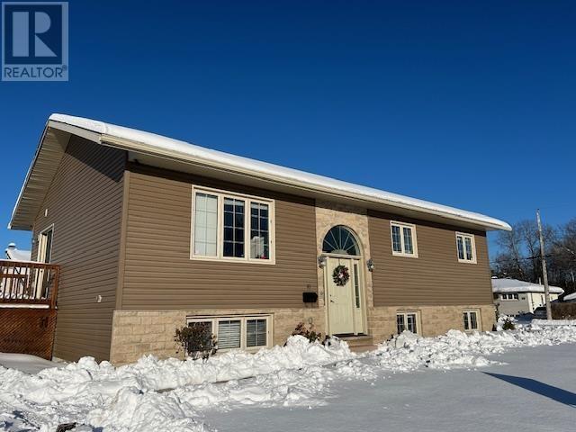 10 Assunta, Sault Ste. Marie, ON - Outdoor With Exterior