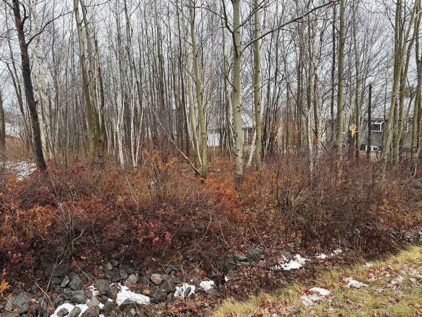 Lot 76 Yorke Street, Sydney Mines, NS