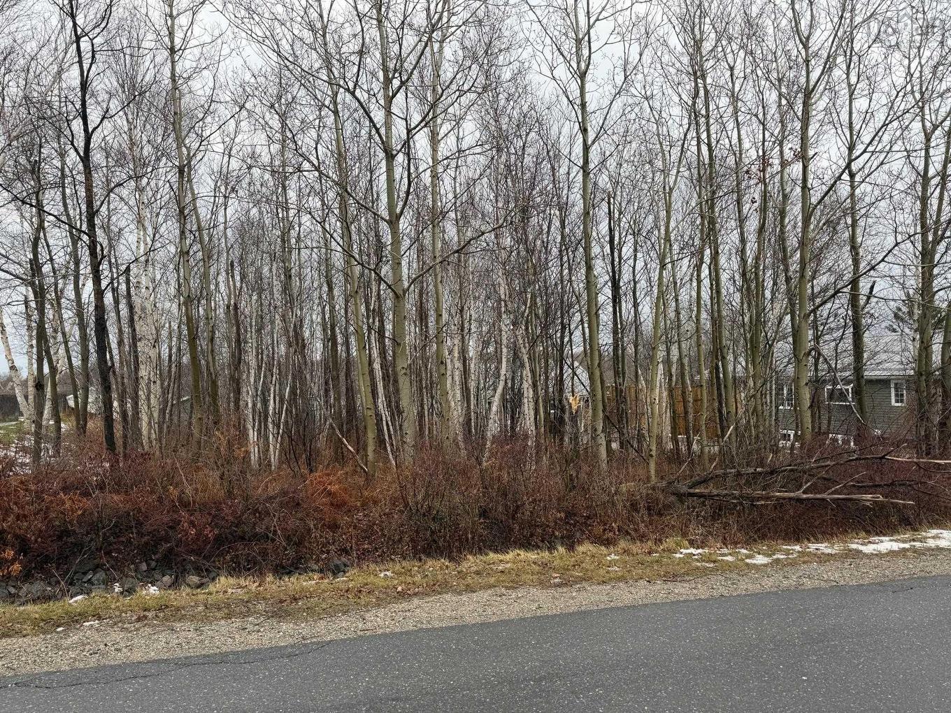 Lot 76 Yorke Street, Sydney Mines, NS