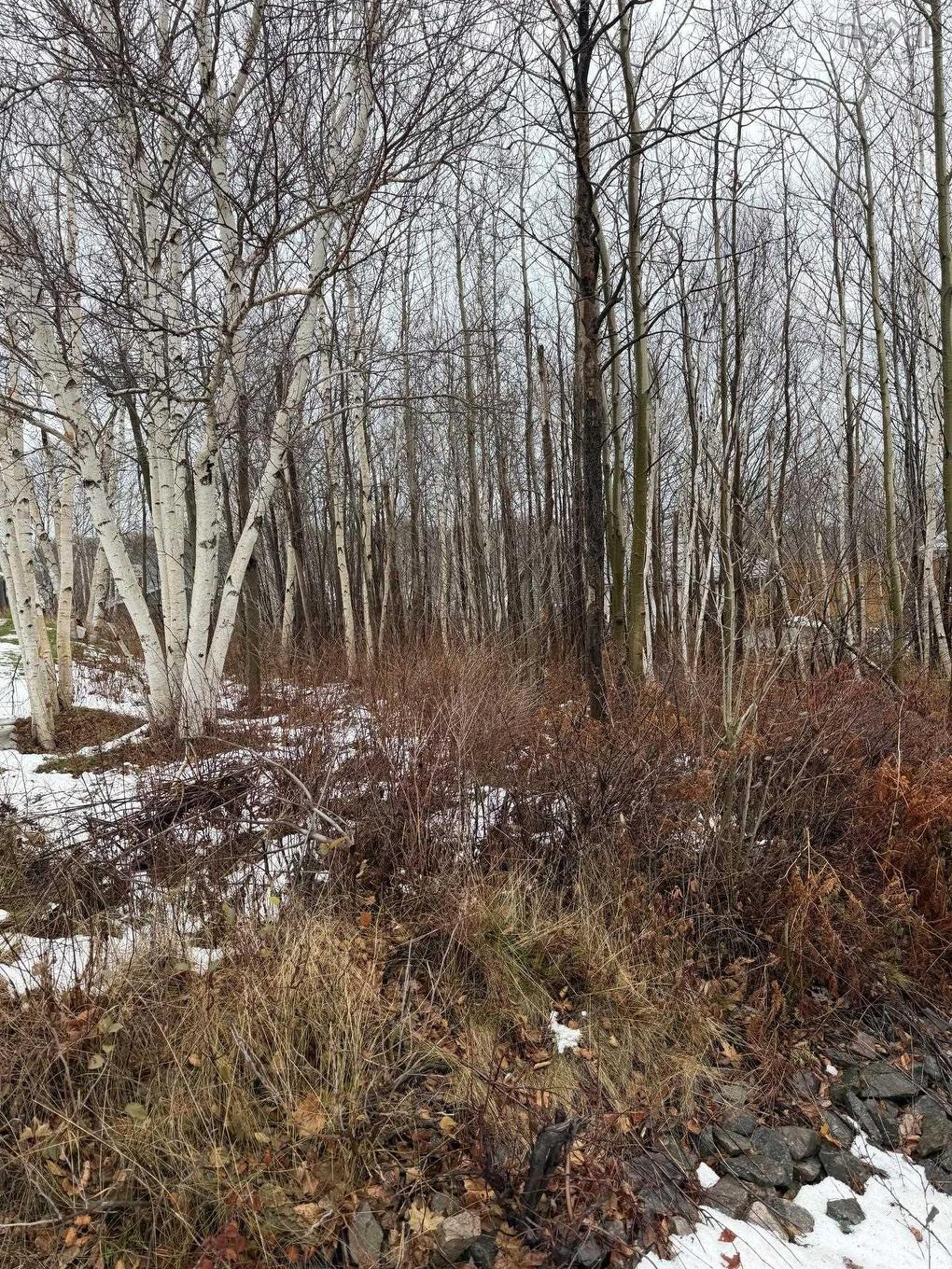 Lot 76 Yorke Street, Sydney Mines, NS