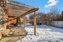 South Facing Backyard -