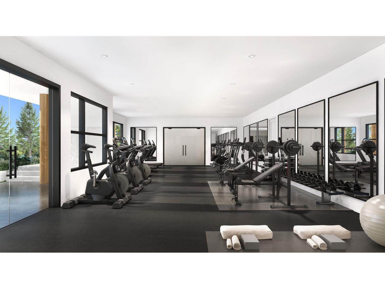 223 2620 152 Street, Surrey, BC - Indoor Photo Showing Gym Room