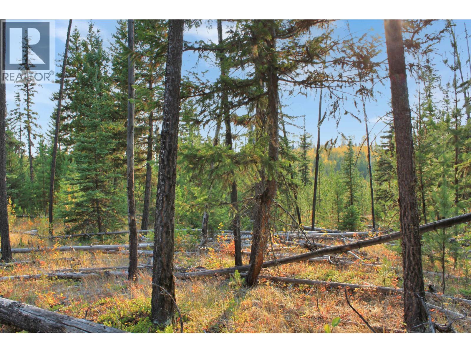 Prop Lot 12 Brown Road, Bridge Lake, BC