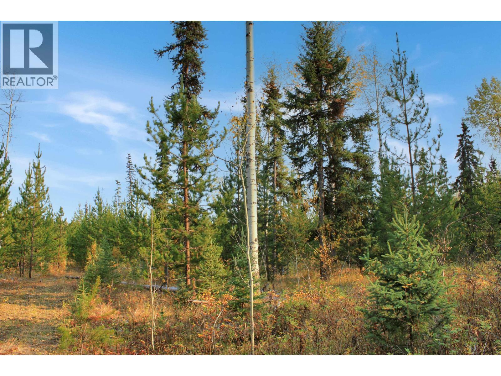 Prop Lot 12 Brown Road, Bridge Lake, BC