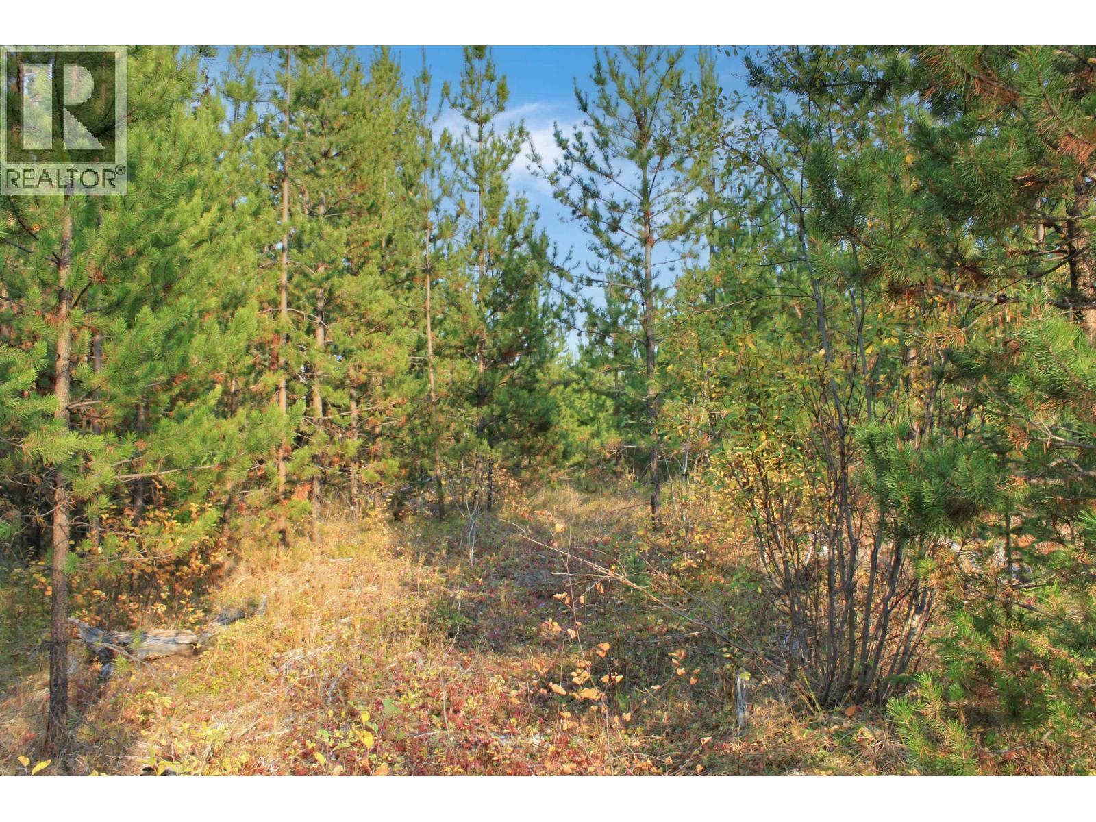 Prop Lot 12 Brown Road, Bridge Lake, BC