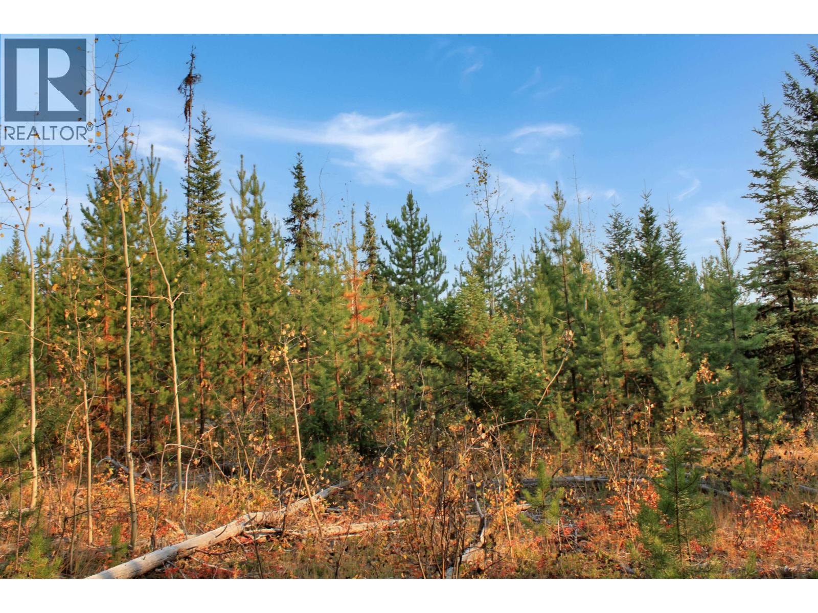 Prop Lot 12 Brown Road, Bridge Lake, BC