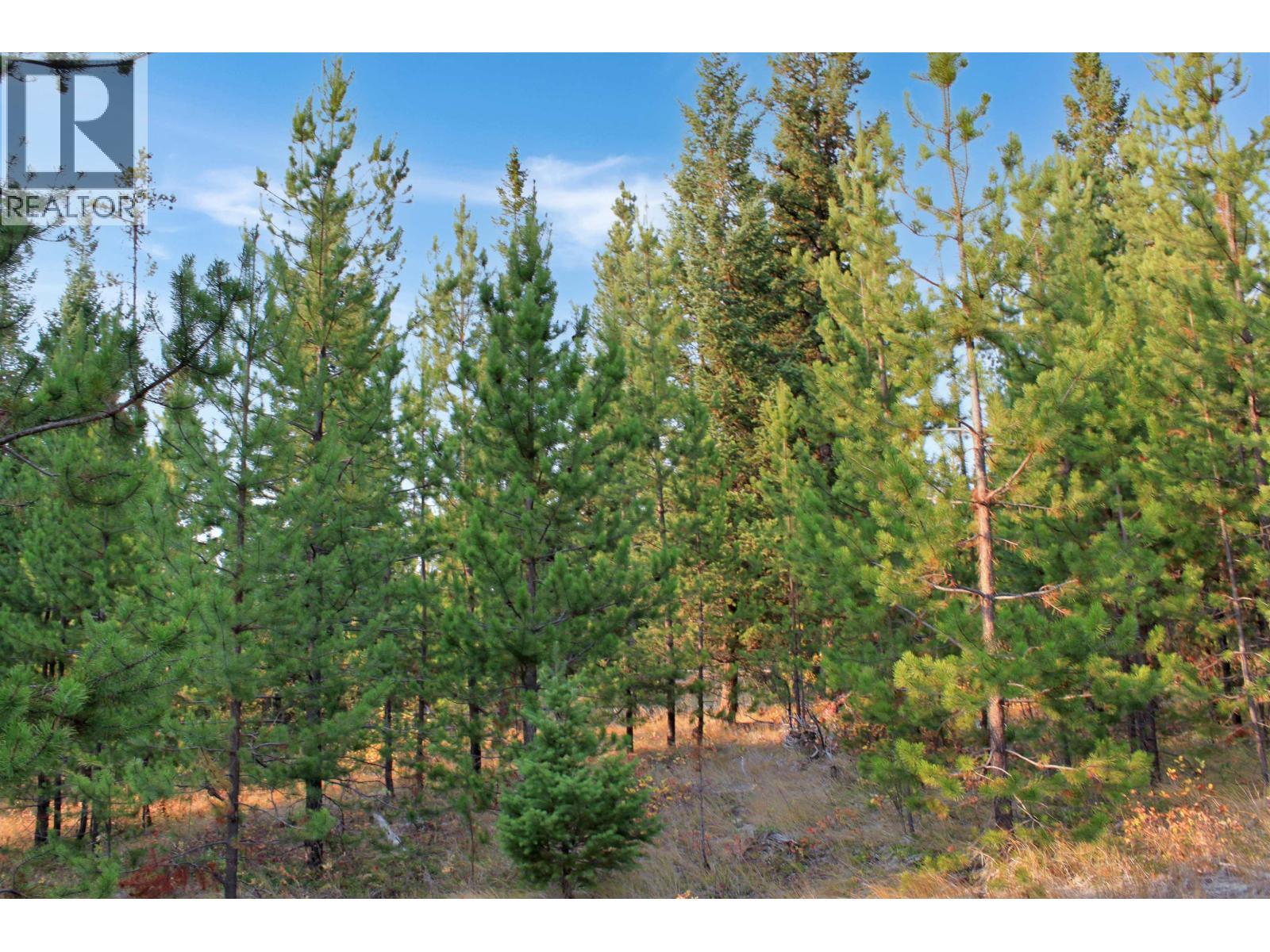 Prop Lot 12 Brown Road, Bridge Lake, BC