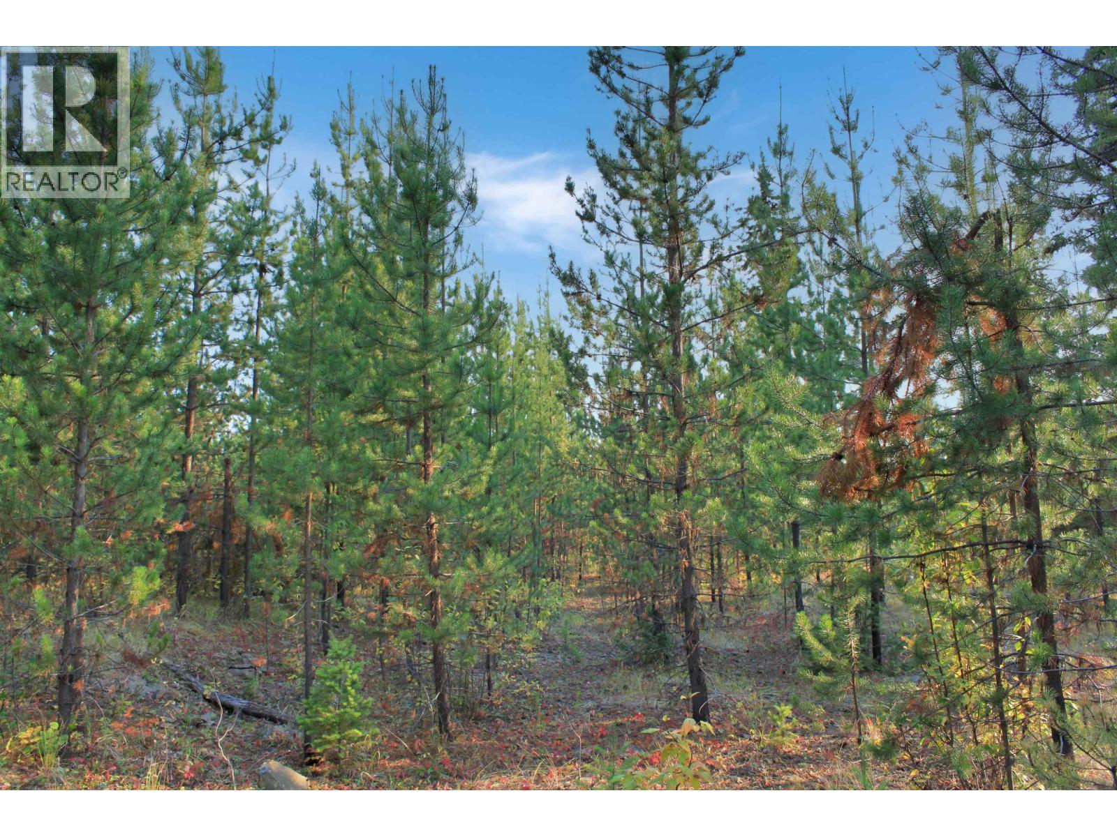 Prop Lot 12 Brown Road, Bridge Lake, BC