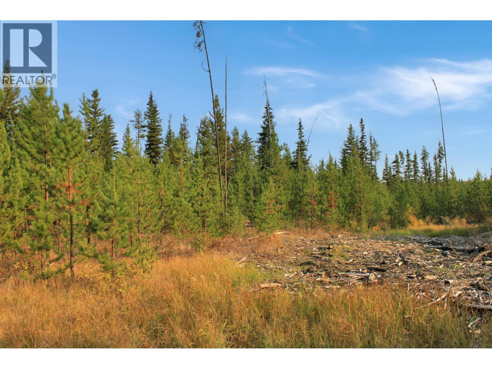 Prop Lot 12 Brown Road, Bridge Lake, BC