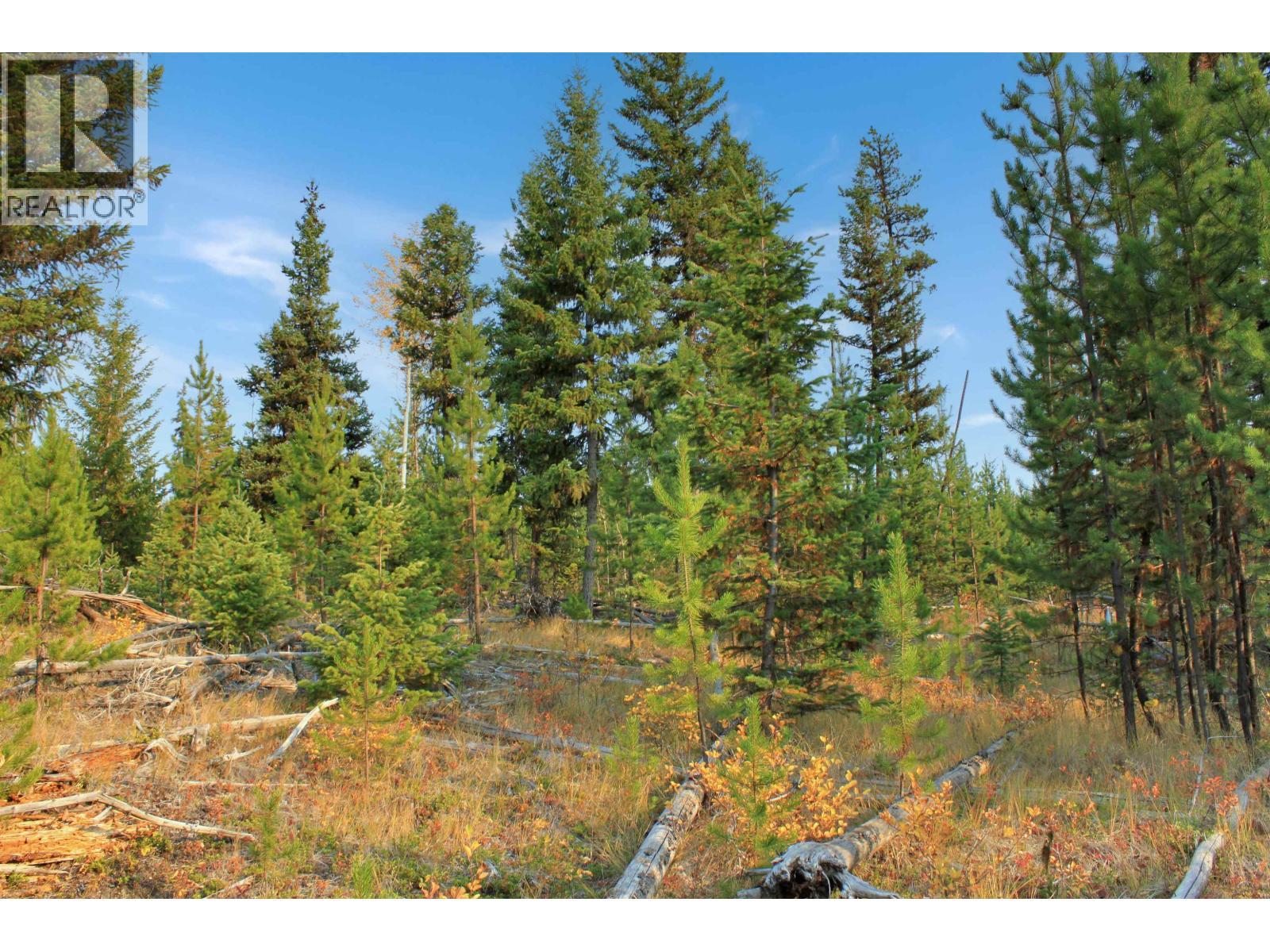 Prop Lot 12 Brown Road, Bridge Lake, BC