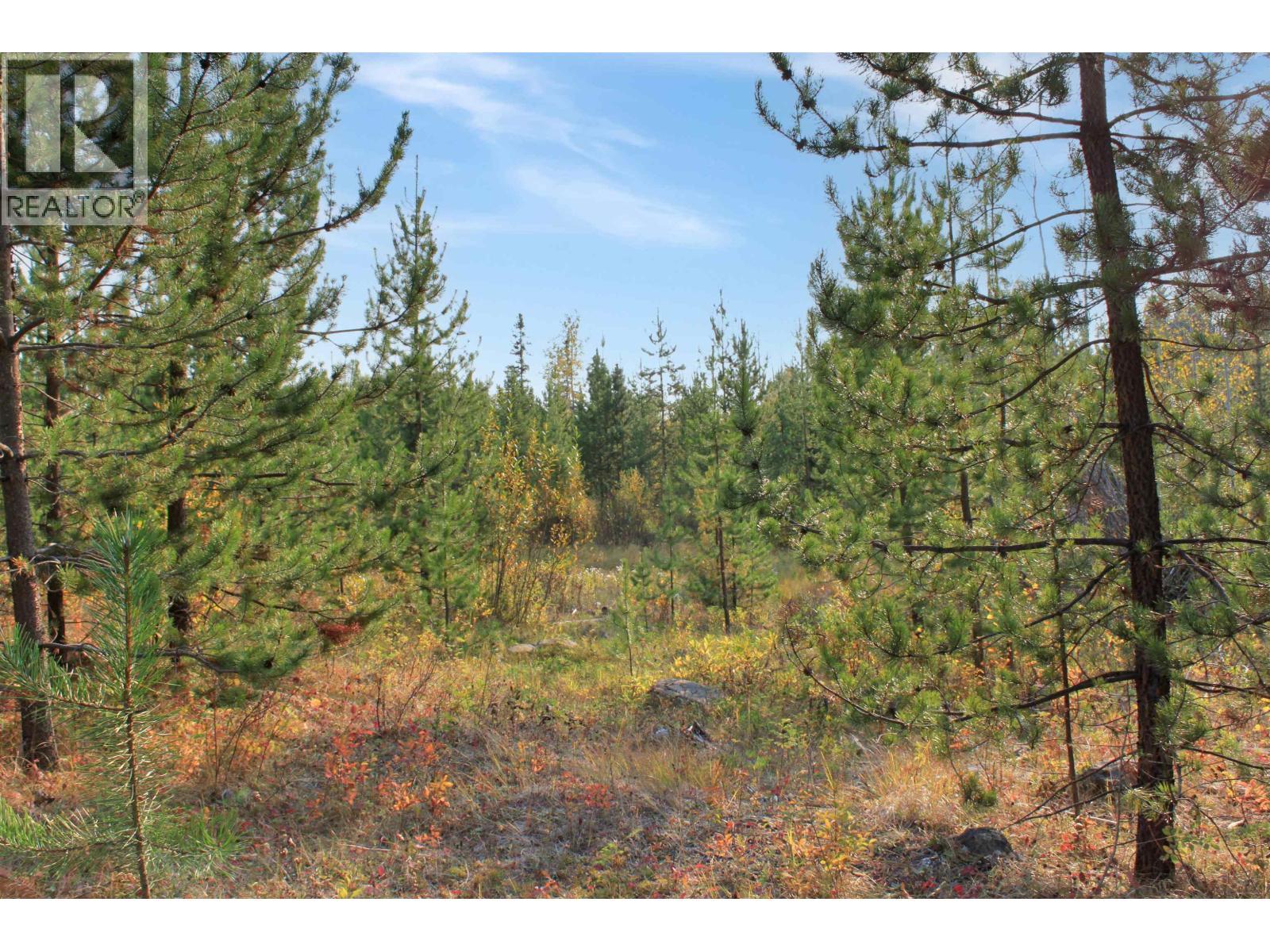 Prop Lot 12 Brown Road, Bridge Lake, BC