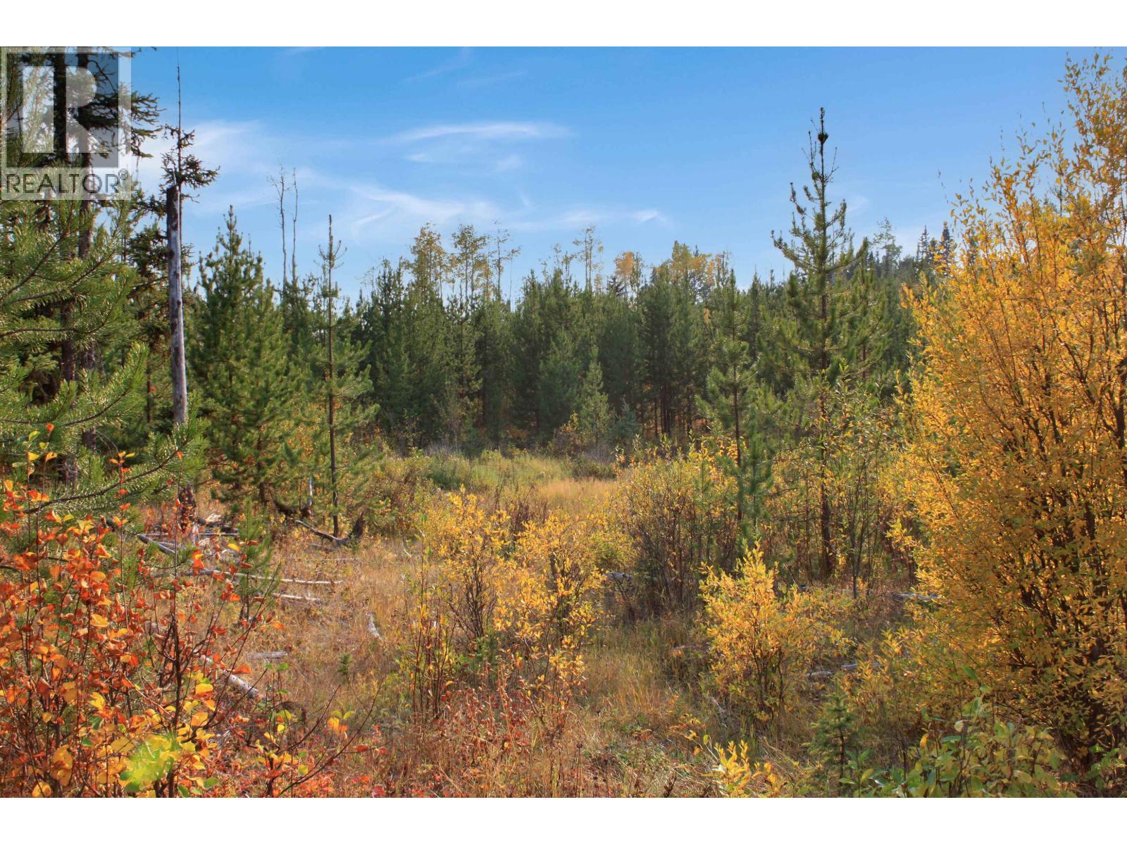 Prop Lot 12 Brown Road, Bridge Lake, BC