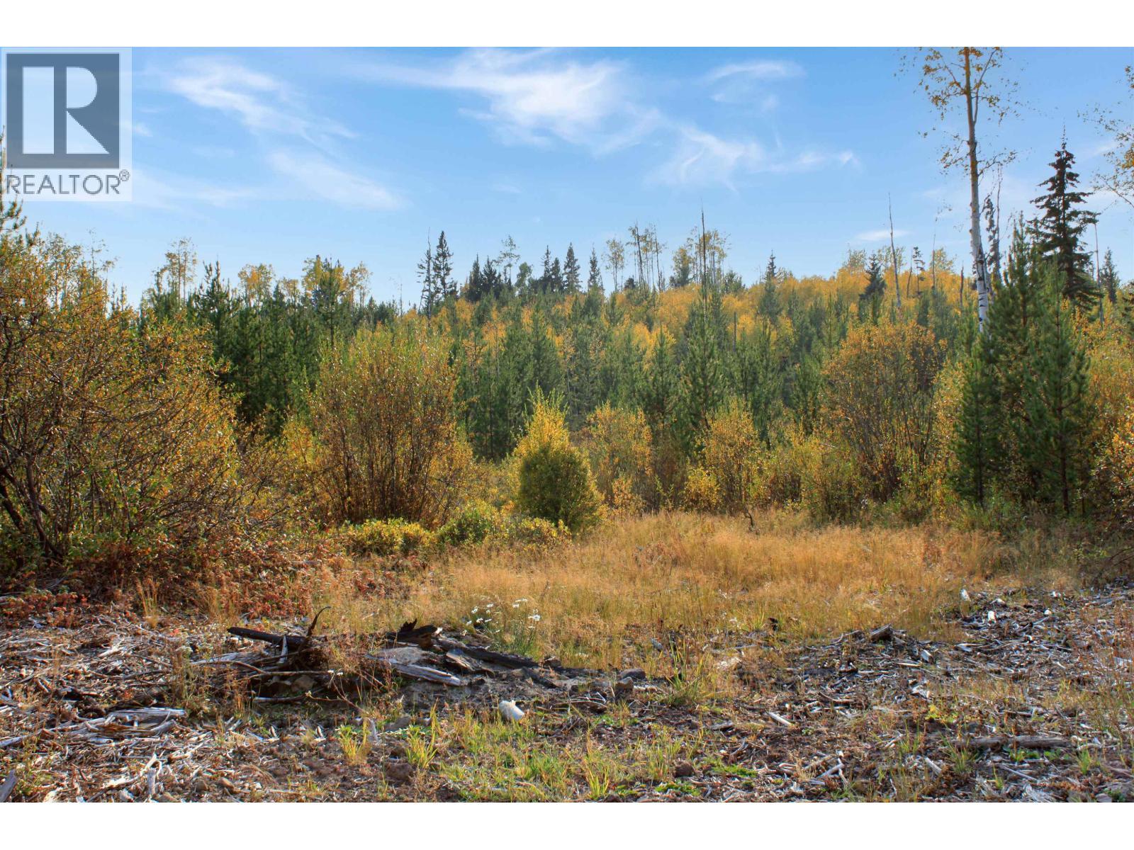 Prop Lot 12 Brown Road, Bridge Lake, BC