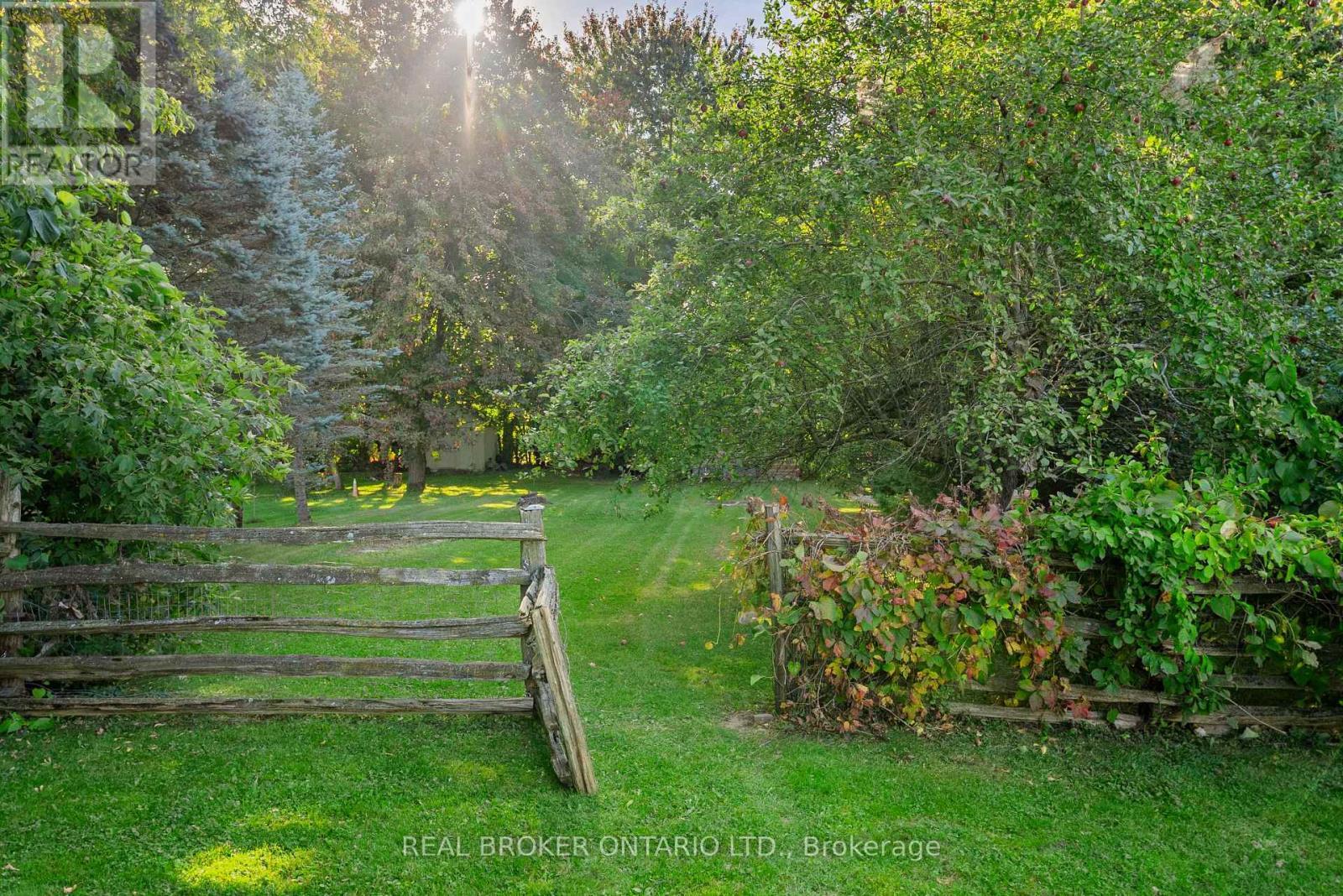 118 Patterson Street N, New Tecumseth, ON - Outdoor