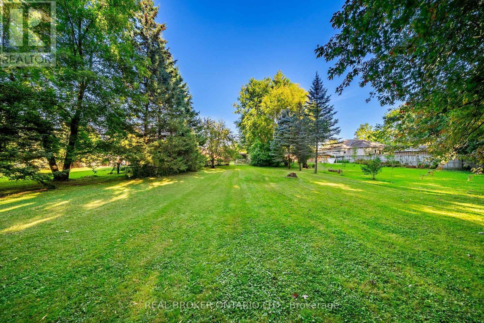 118 Patterson Street N, New Tecumseth, ON - Outdoor