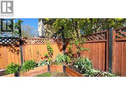 Owner's photos of backyard plants/flowers -