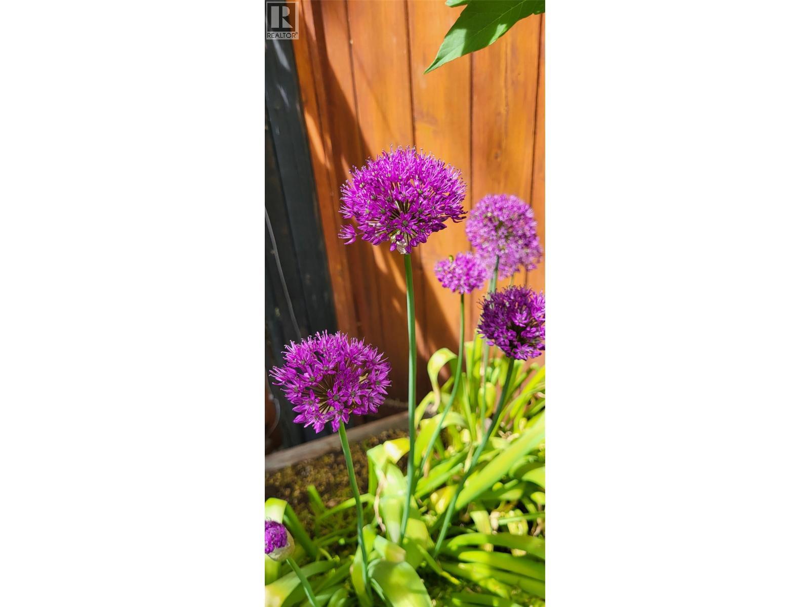 3930 26 Street, Vernon, BC -