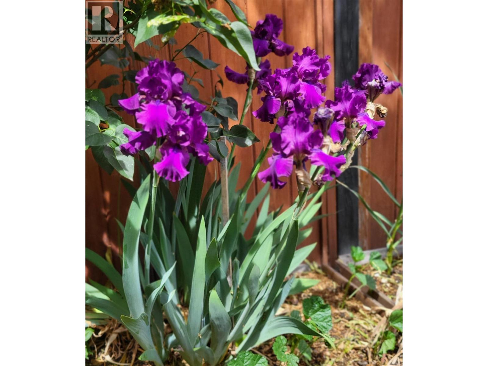 3930 26 Street, Vernon, BC -