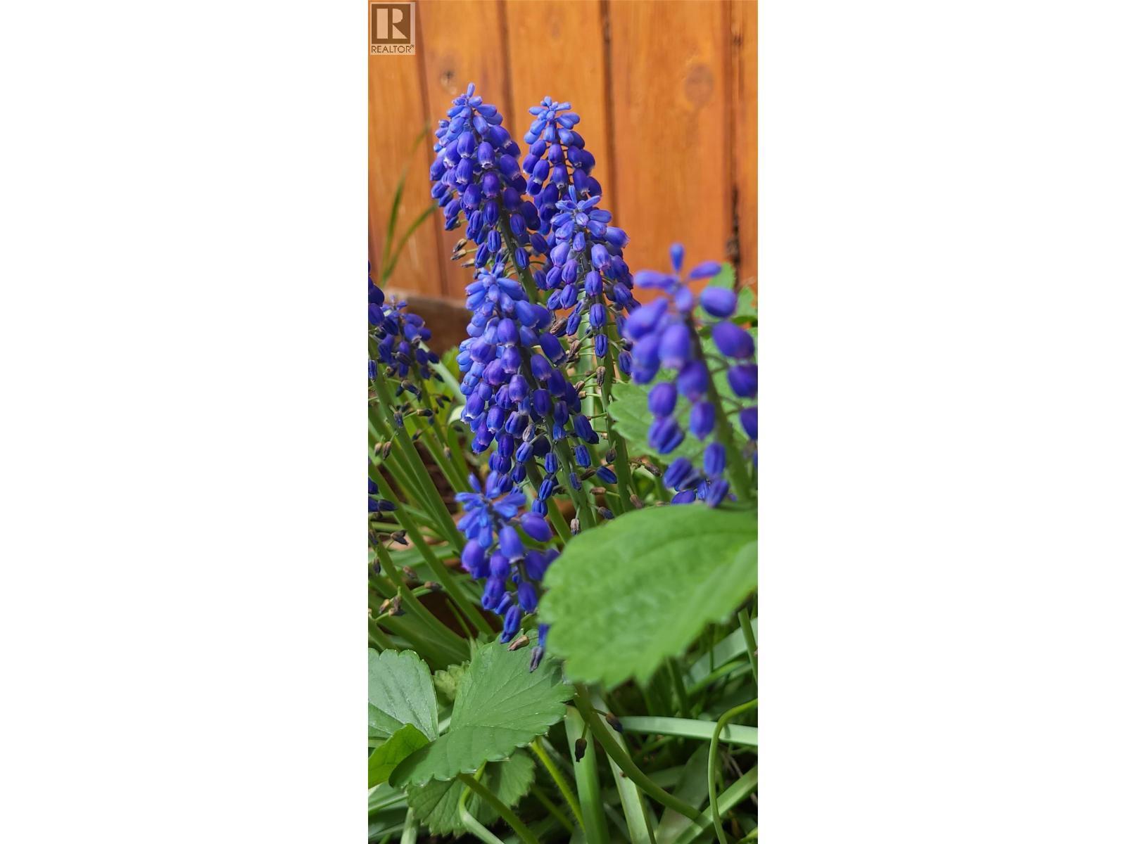 3930 26 Street, Vernon, BC -