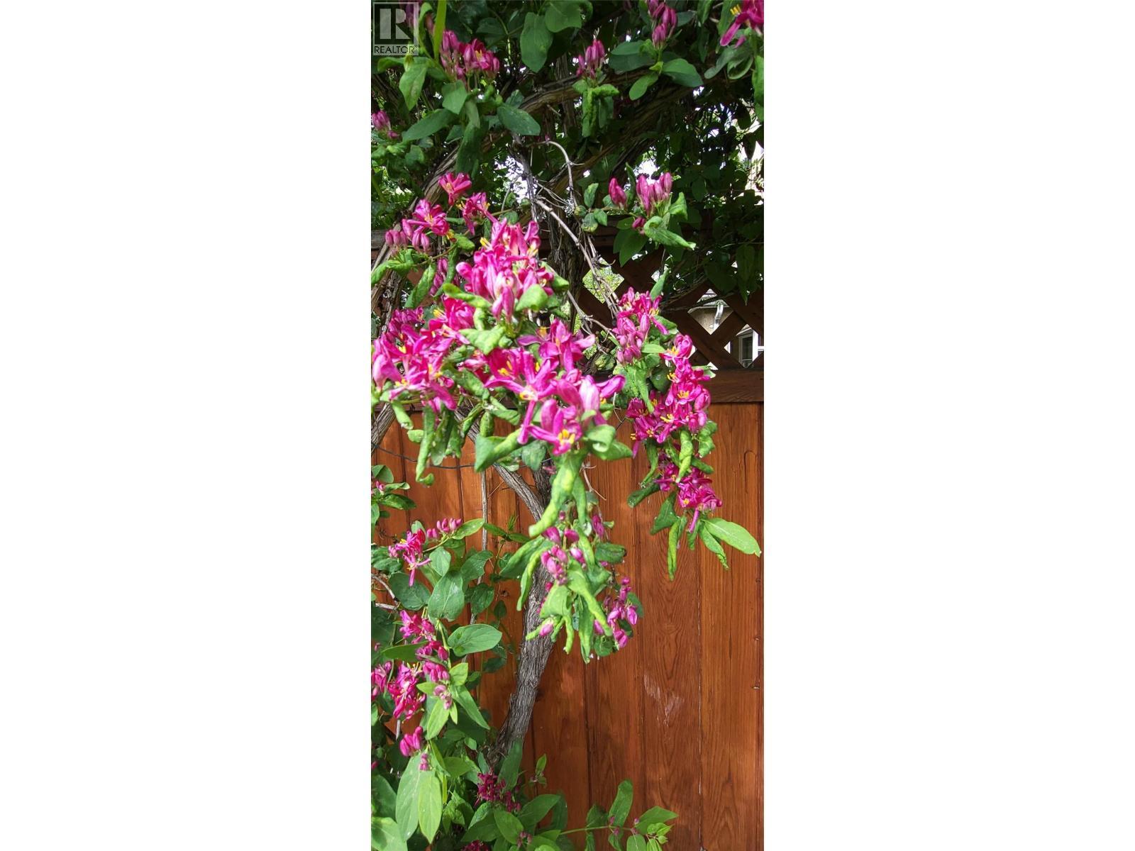 3930 26 Street, Vernon, BC - Outdoor