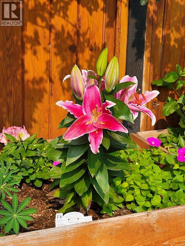 3930 26 Street, Vernon, BC - Outdoor