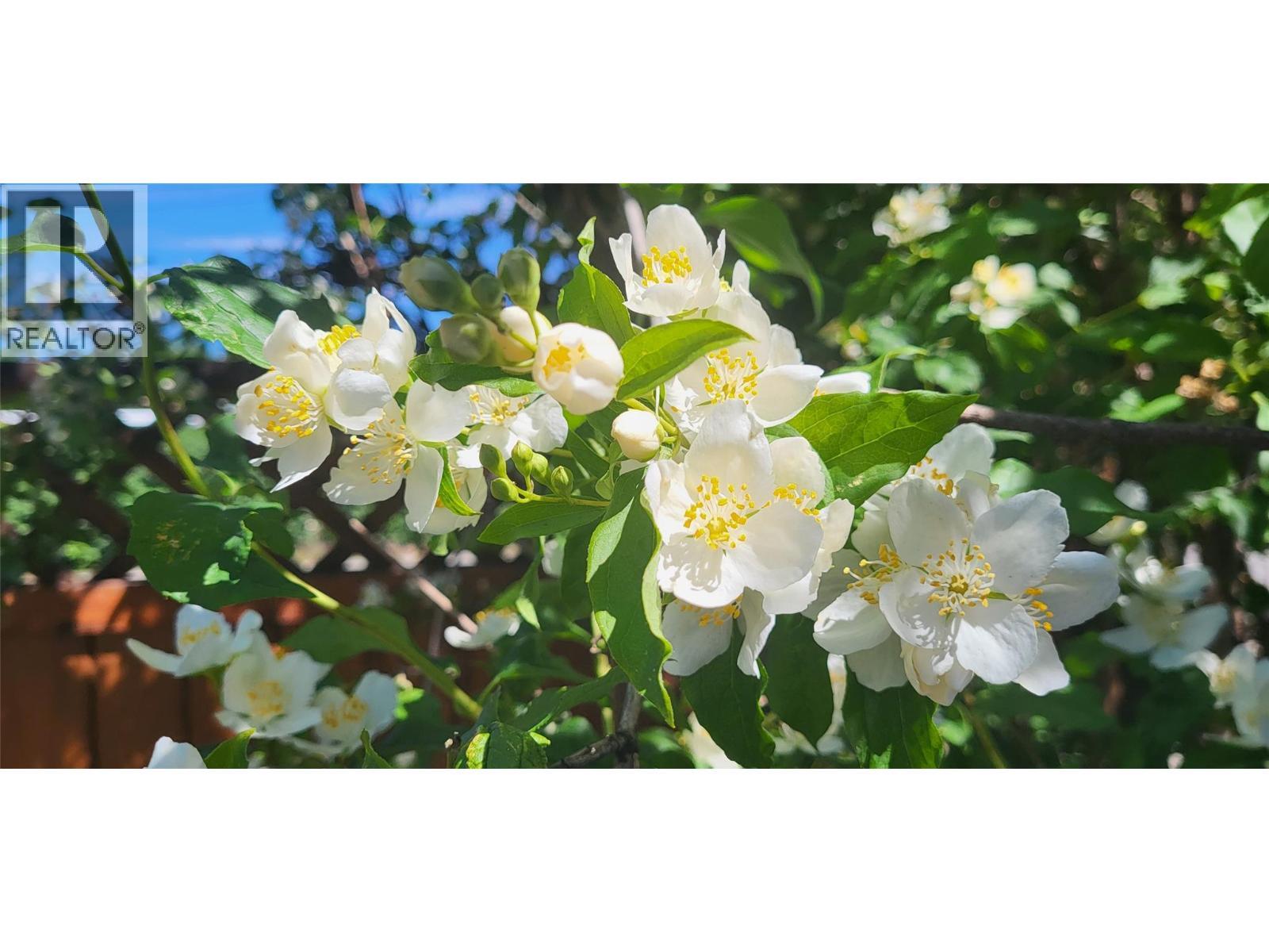 3930 26 Street, Vernon, BC - Other