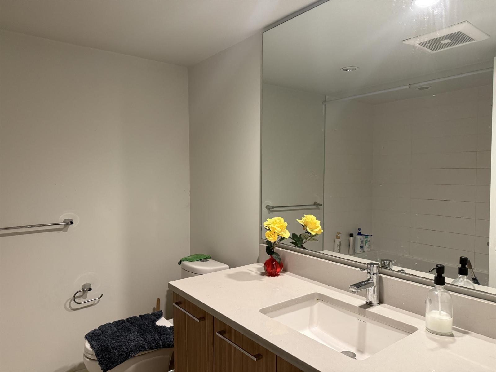 14 8217 204B Street, Langley, BC - Indoor Photo Showing Bathroom