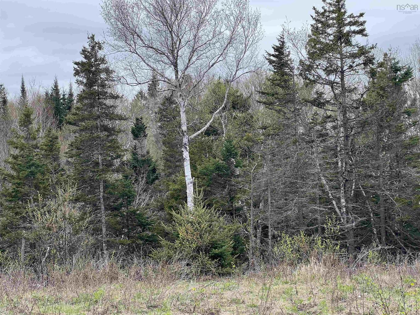 Lot Rjg-1 Long Beach Road, West Glenmont, NS